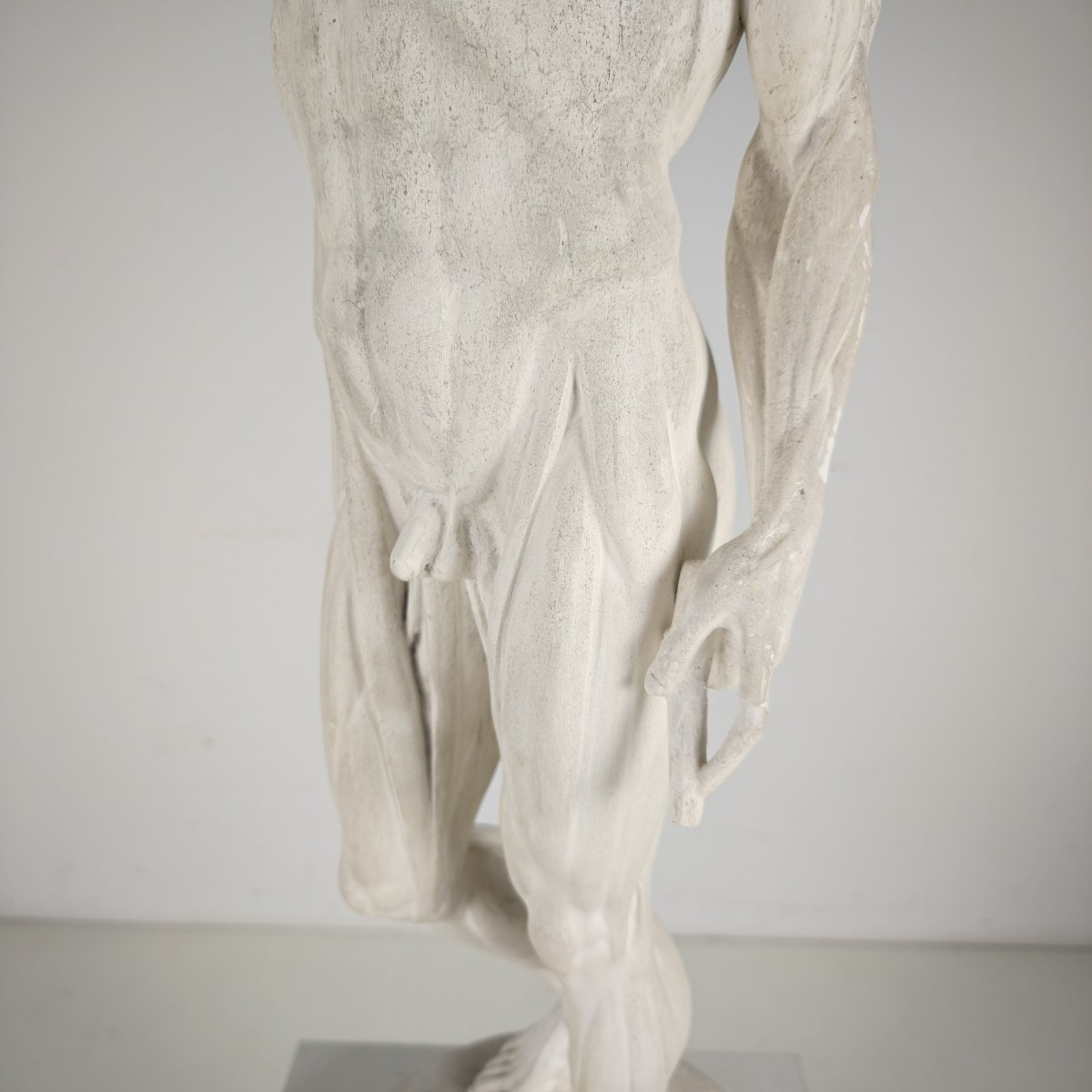 Anatomical Skeleton Model – Plaster Sculpture-photo-3