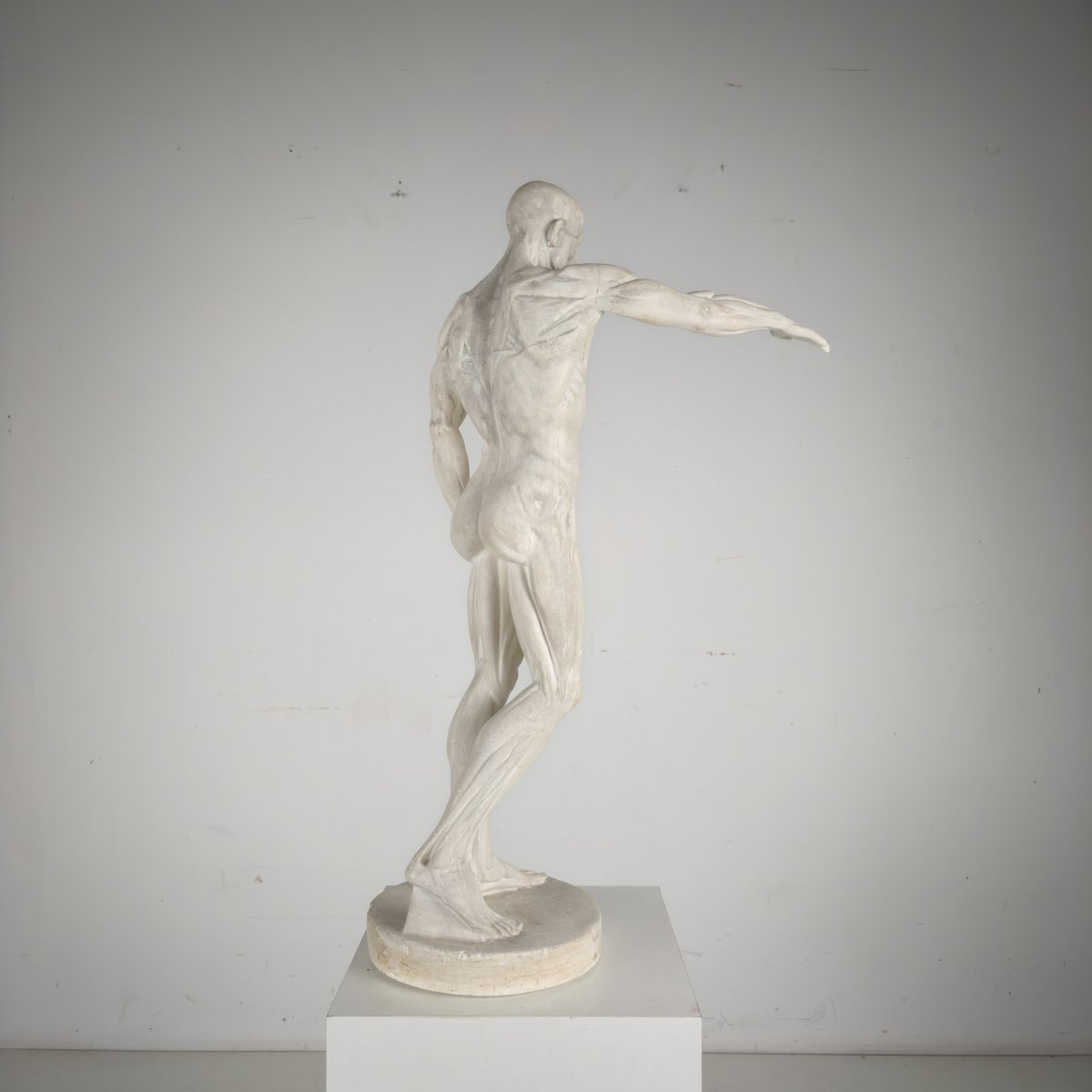 Anatomical Skeleton Model – Plaster Sculpture-photo-2