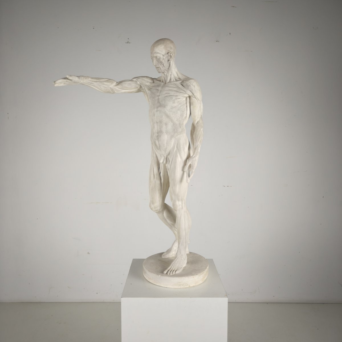 Anatomical Skeleton Model – Plaster Sculpture