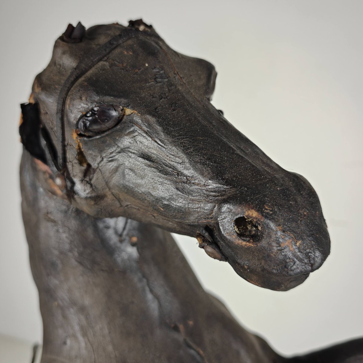 Sculpture de cheval en cuir antique du début du XXe siècle avec yeux en verre-photo-6