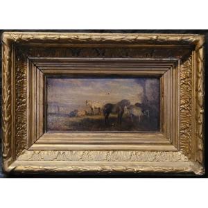 Stocquart Ildephonse , Chevaux et vaches au pré, huile sur panneau XIX ème