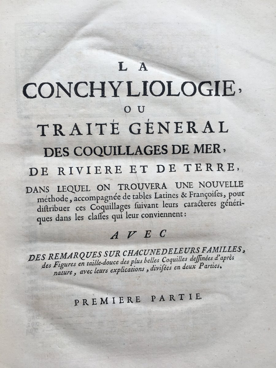 Book By Antoine Joseph Dézallier d'Argenville: Conchyliology, 2nd Edition Of 1757-photo-4