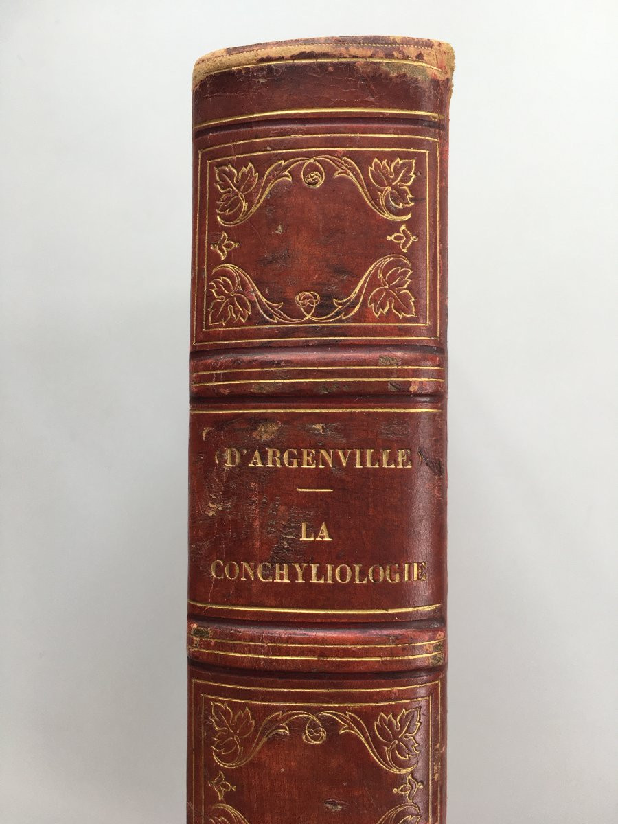 Book By Antoine Joseph Dézallier d'Argenville: Conchyliology, 2nd Edition Of 1757-photo-2