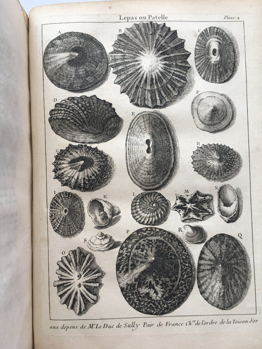 Book By Antoine Joseph Dézallier d'Argenville: Conchyliology, 2nd Edition Of 1757-photo-3