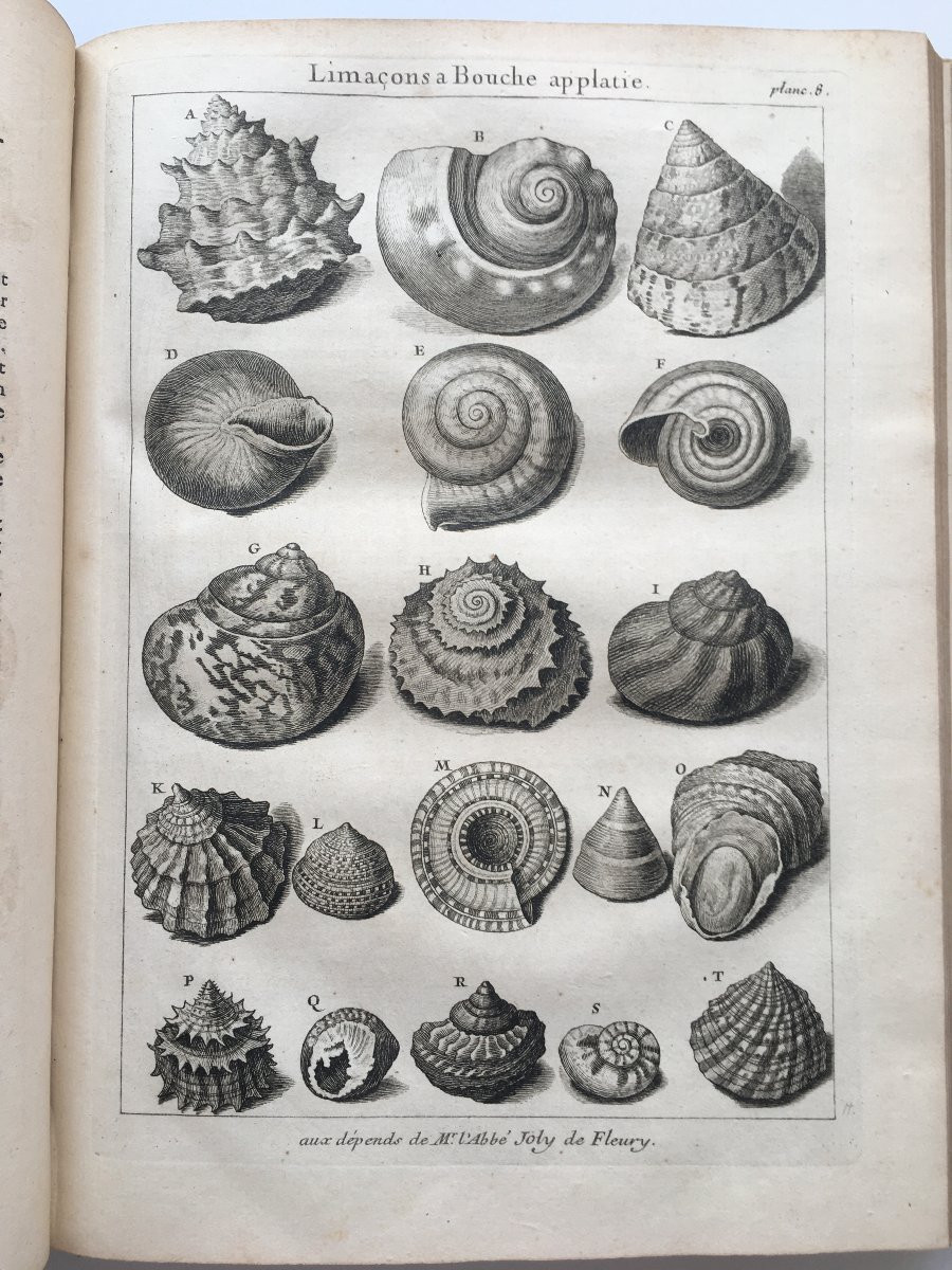 Book By Antoine Joseph Dézallier d'Argenville: Conchyliology, 2nd Edition Of 1757-photo-4
