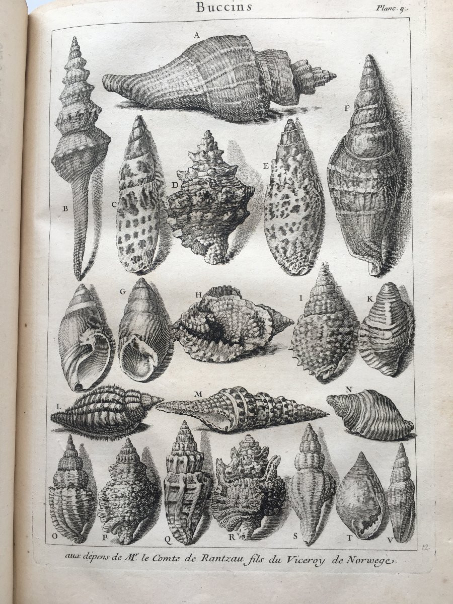 Book By Antoine Joseph Dézallier d'Argenville: Conchyliology, 2nd Edition Of 1757-photo-5
