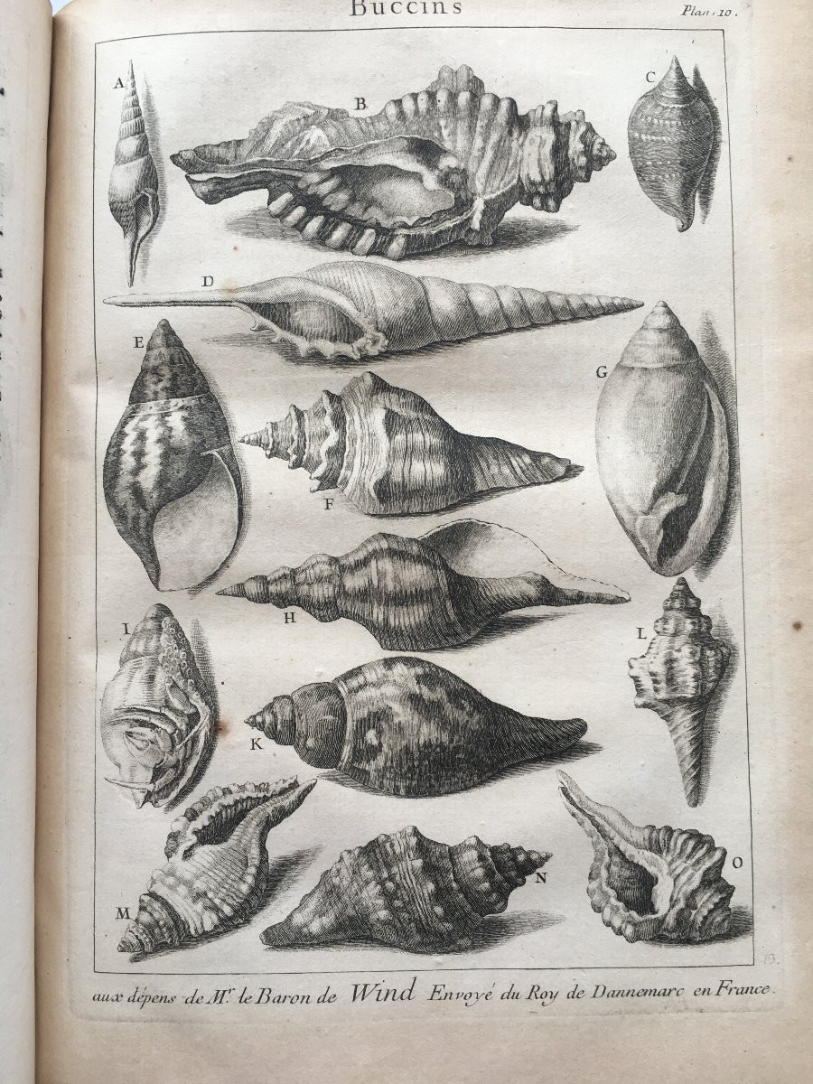 Book By Antoine Joseph Dézallier d'Argenville: Conchyliology, 2nd Edition Of 1757-photo-6