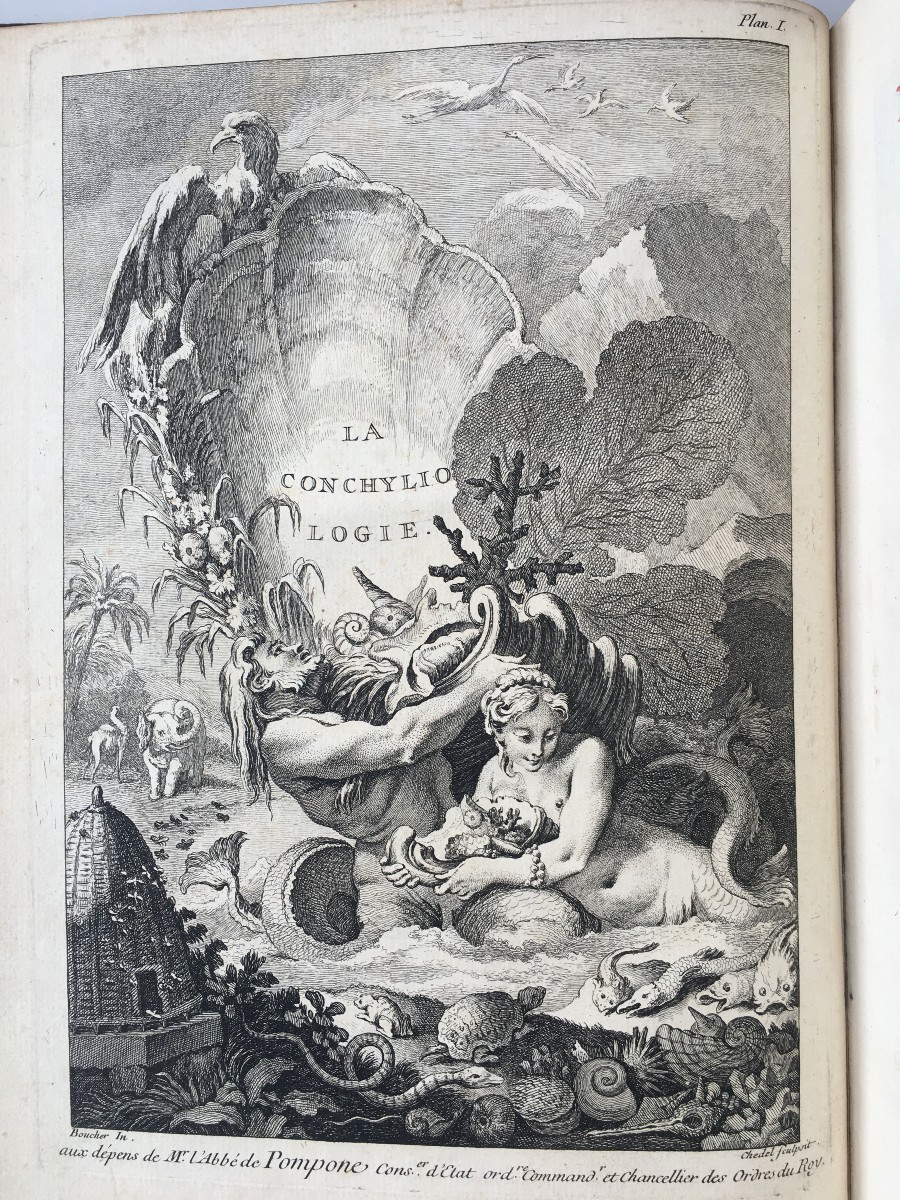 Book By Antoine Joseph Dézallier d'Argenville: Conchyliology, 2nd Edition Of 1757