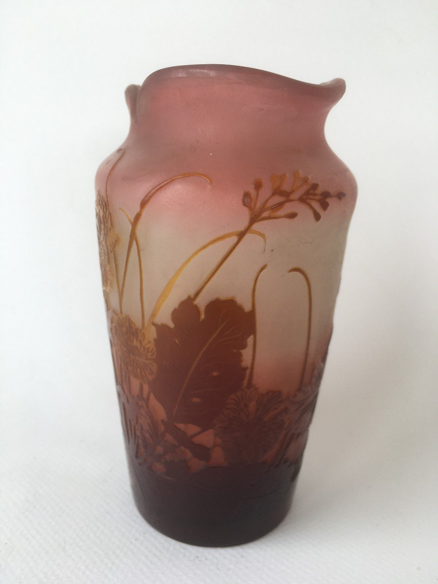 Superb Emile Galle Vase-photo-2