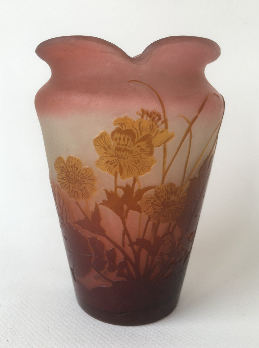 Superbe Vase Emile Galle