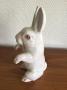 1799793-6a64d884e07e8.jpg