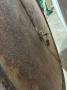 1410358-alb-66fc081bba564.jpg