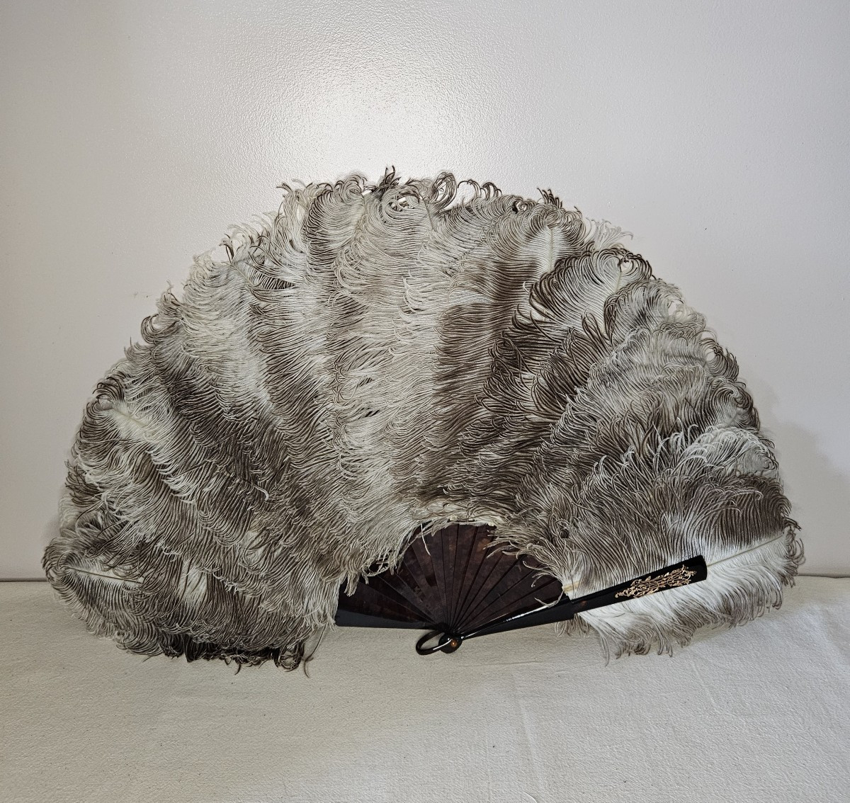 Grand Eventail en plumes d'autruche et écaille avec sa boite. "Faucon" à Paris