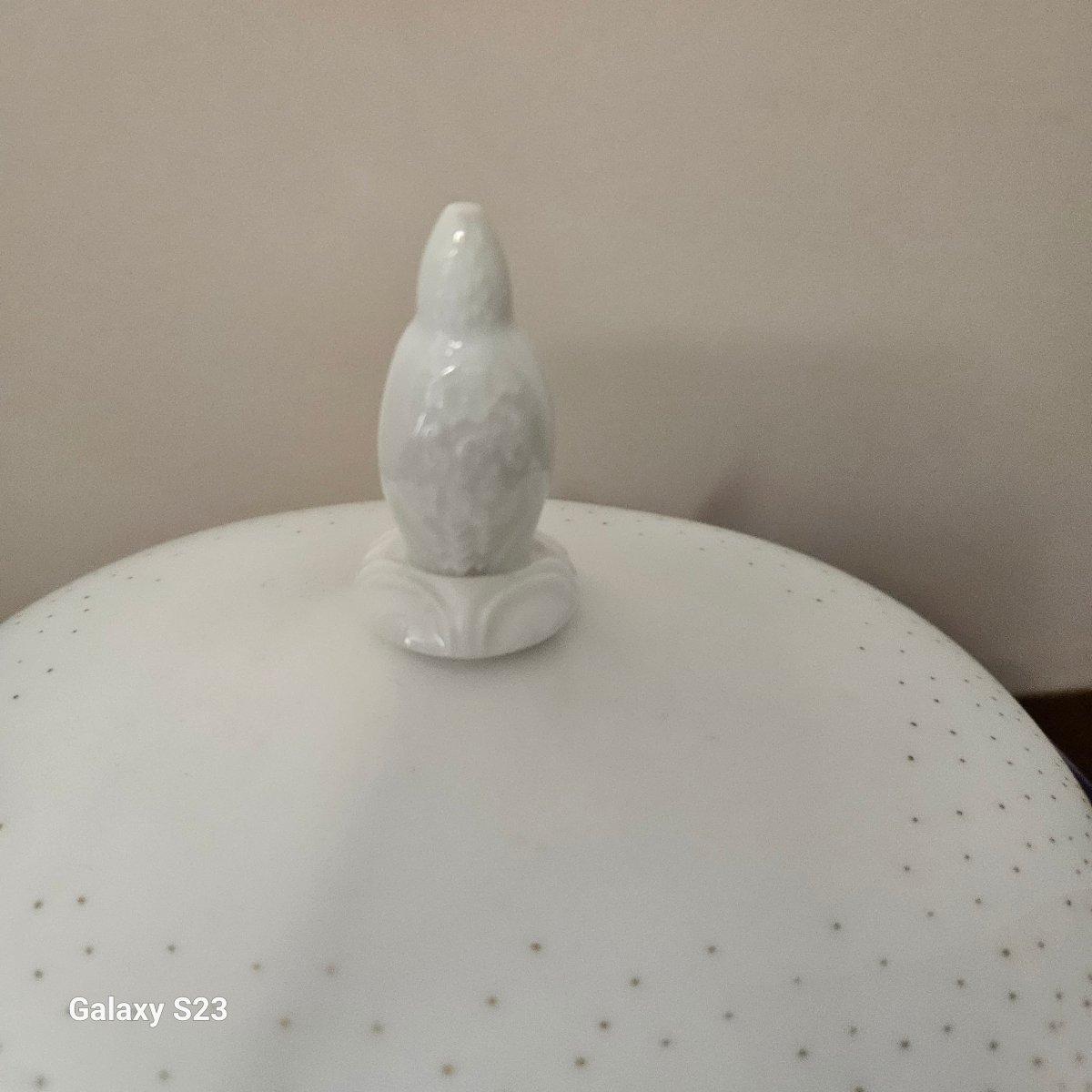 Lalique "lupins" Pattern Vegetable Tureen In Limoges Porcelain-photo-2