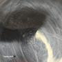 1837451-6ace4850bb076.jpg