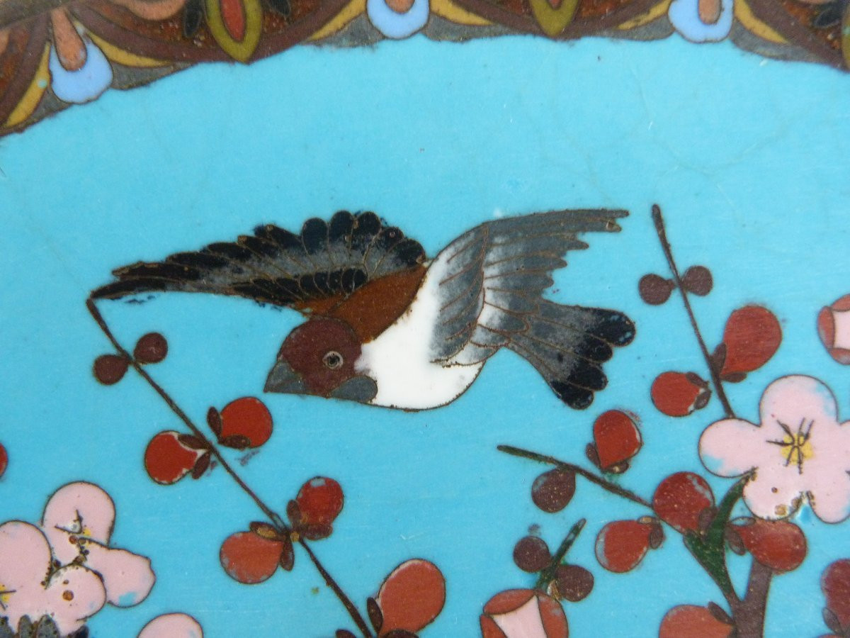 Enameled Dish, Japan, 19th Century -photo-1