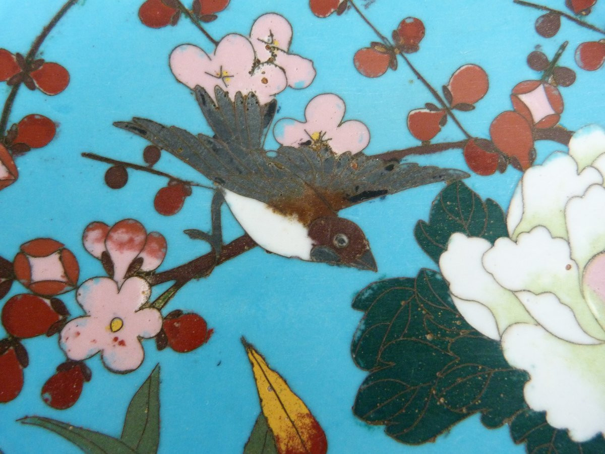 Enameled Dish, Japan, 19th Century -photo-2