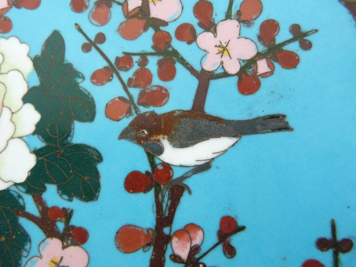 Enameled Dish, Japan, 19th Century -photo-3