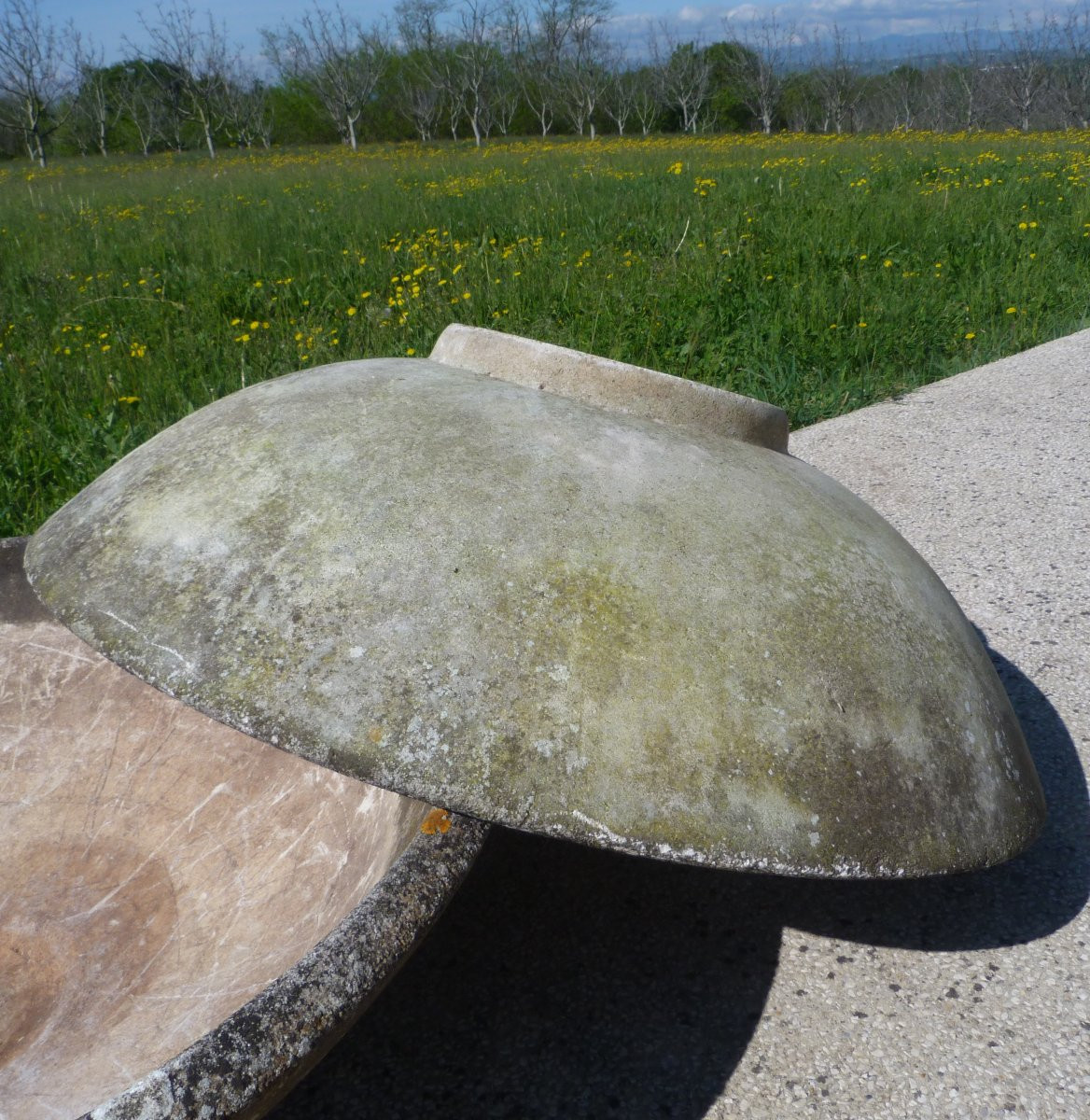 Paire de jardinières vasque en ciment  -photo-5