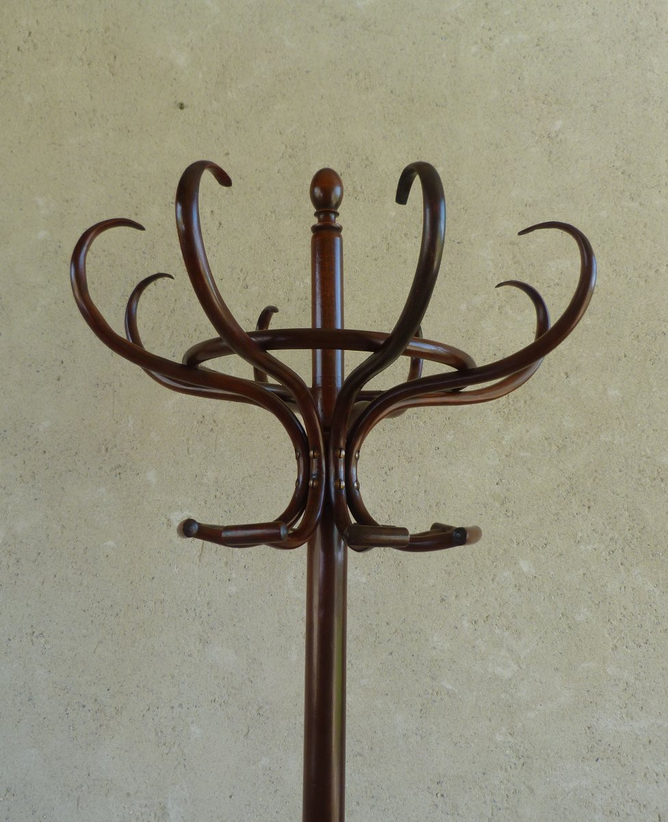 porte manteau perroquet style Thonet -photo-4