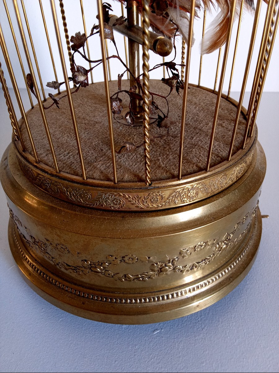 Cage automate à oiseau siffleur   -photo-3