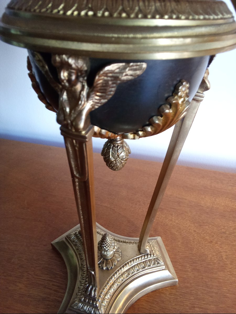 Athenian Lamp In Gilded Bronze-photo-3