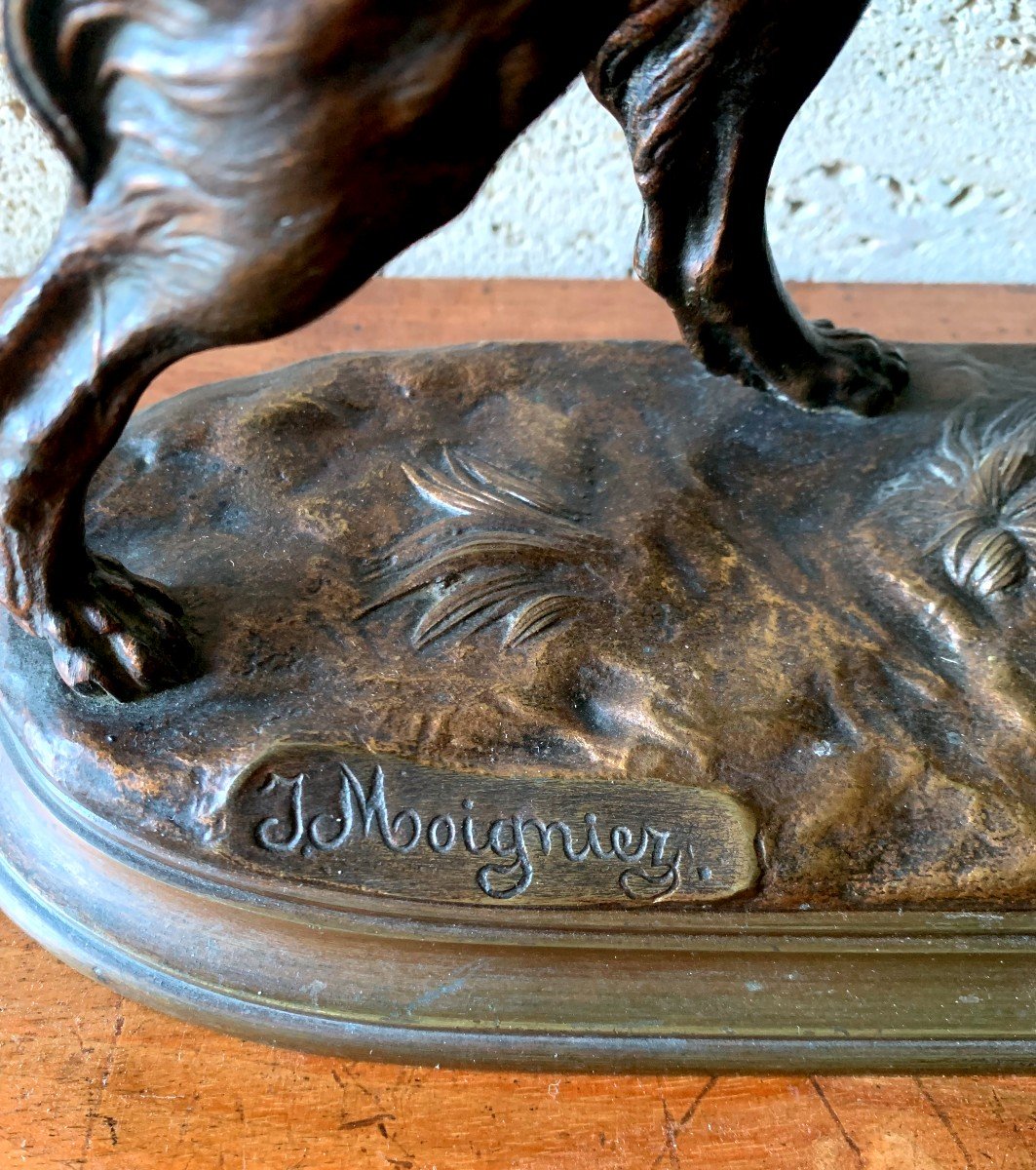 Spaniel Standing In Bronze Signed: J Moignez (1835-1894)-photo-3