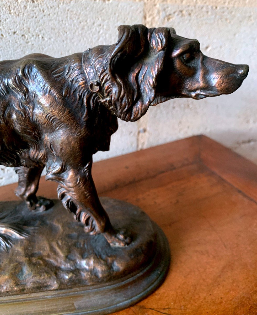 Spaniel Standing In Bronze Signed: J Moignez (1835-1894)-photo-4