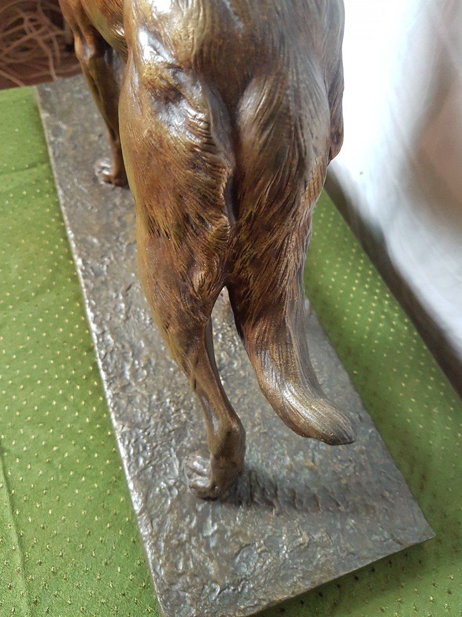 Grand  Chien En Bronze.  Signe' Charles  Paillet..-photo-3