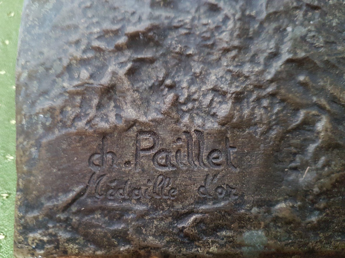 Grand  Chien En Bronze.  Signe' Charles  Paillet..-photo-5