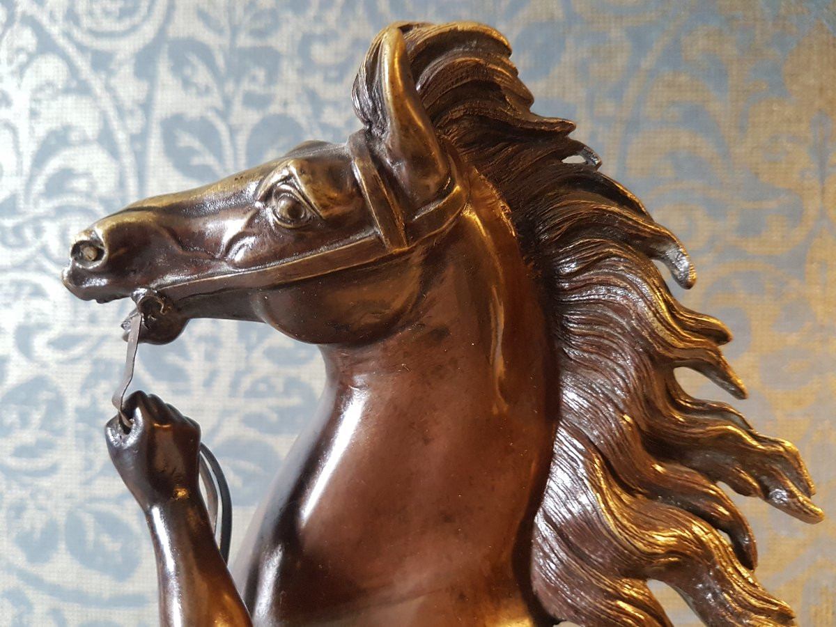 Bronze Sculpture. Marly Horse By Guillaume Coustou. -photo-1