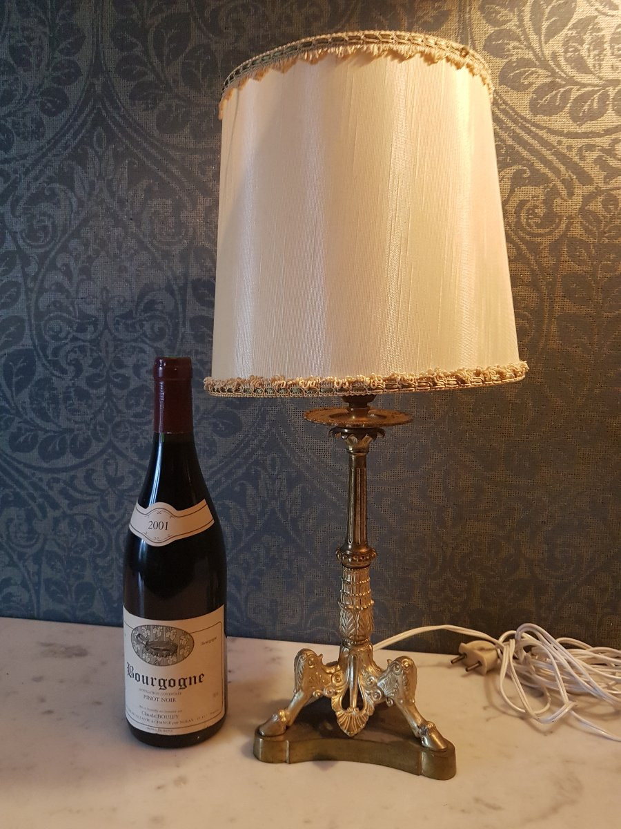 Bronze Lamp. Napoleon III. -photo-2