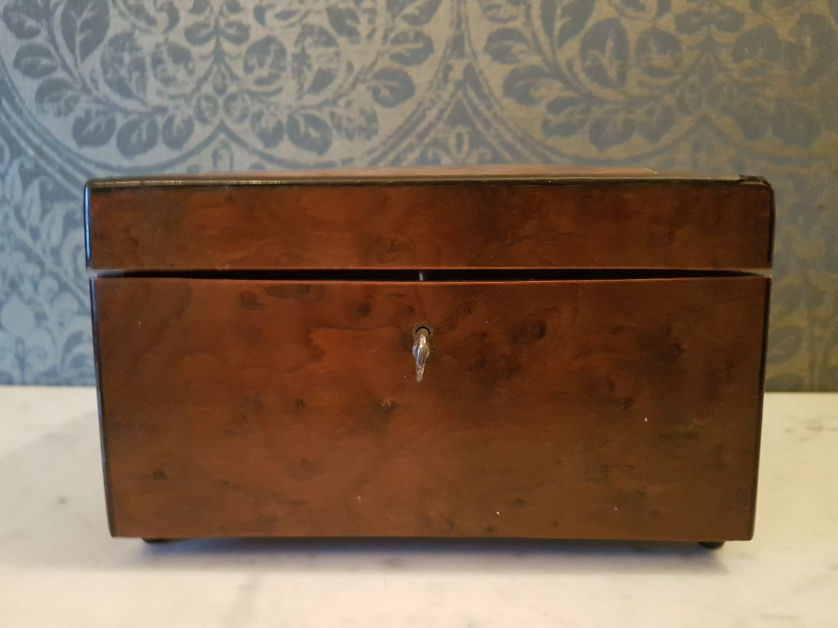 Cigar Case. Napoleon III Era. -photo-7