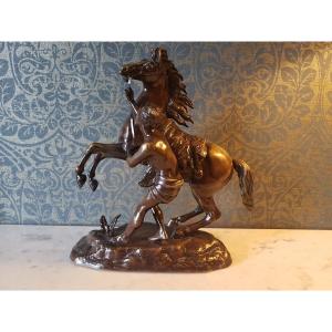 Sculpture en bronze. Cheval  de Marly par Guillaume  Coustou. 