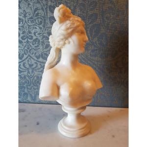 Buste Femme en albatre.  19- eme. 