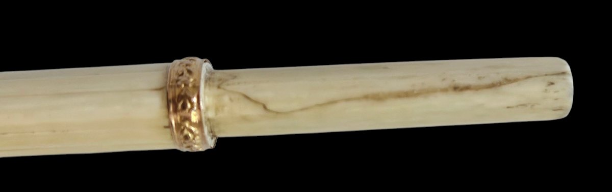 Large Ivory And Gold Needle Case, 19th Century -photo-3