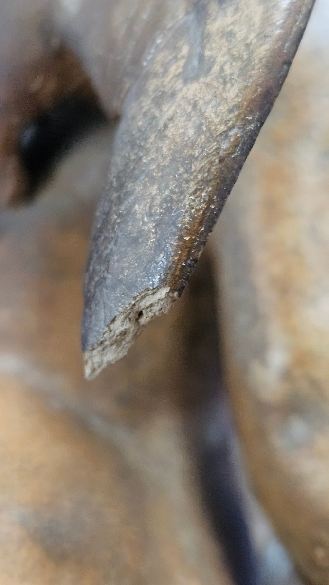 Carrier Belleuse Terracotta Sculpture, 19th Century-photo-4