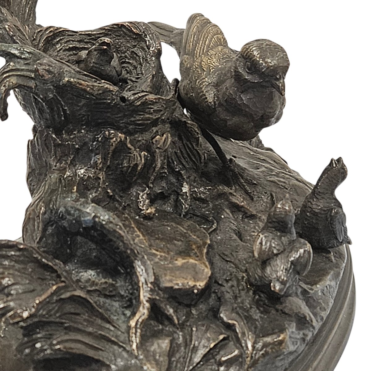 Bronze Animal -photo-3