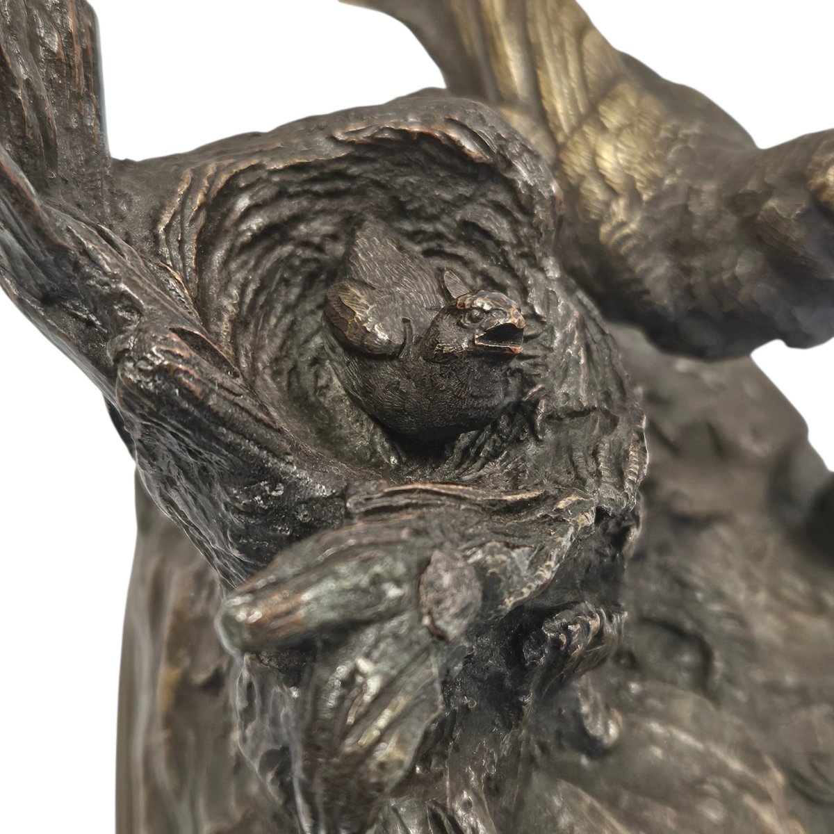 Bronze Animal -photo-4