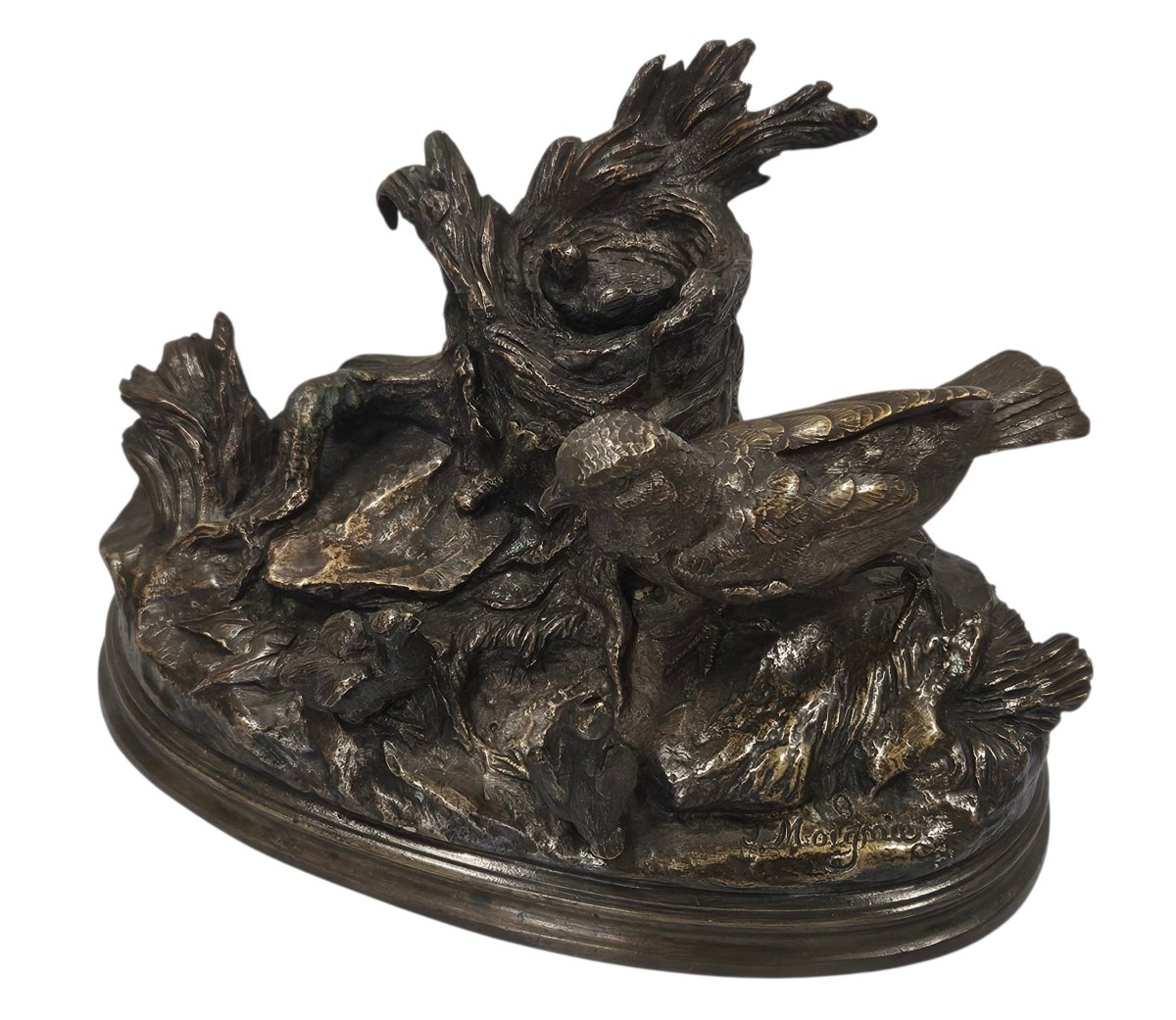 Bronze Animal -photo-5