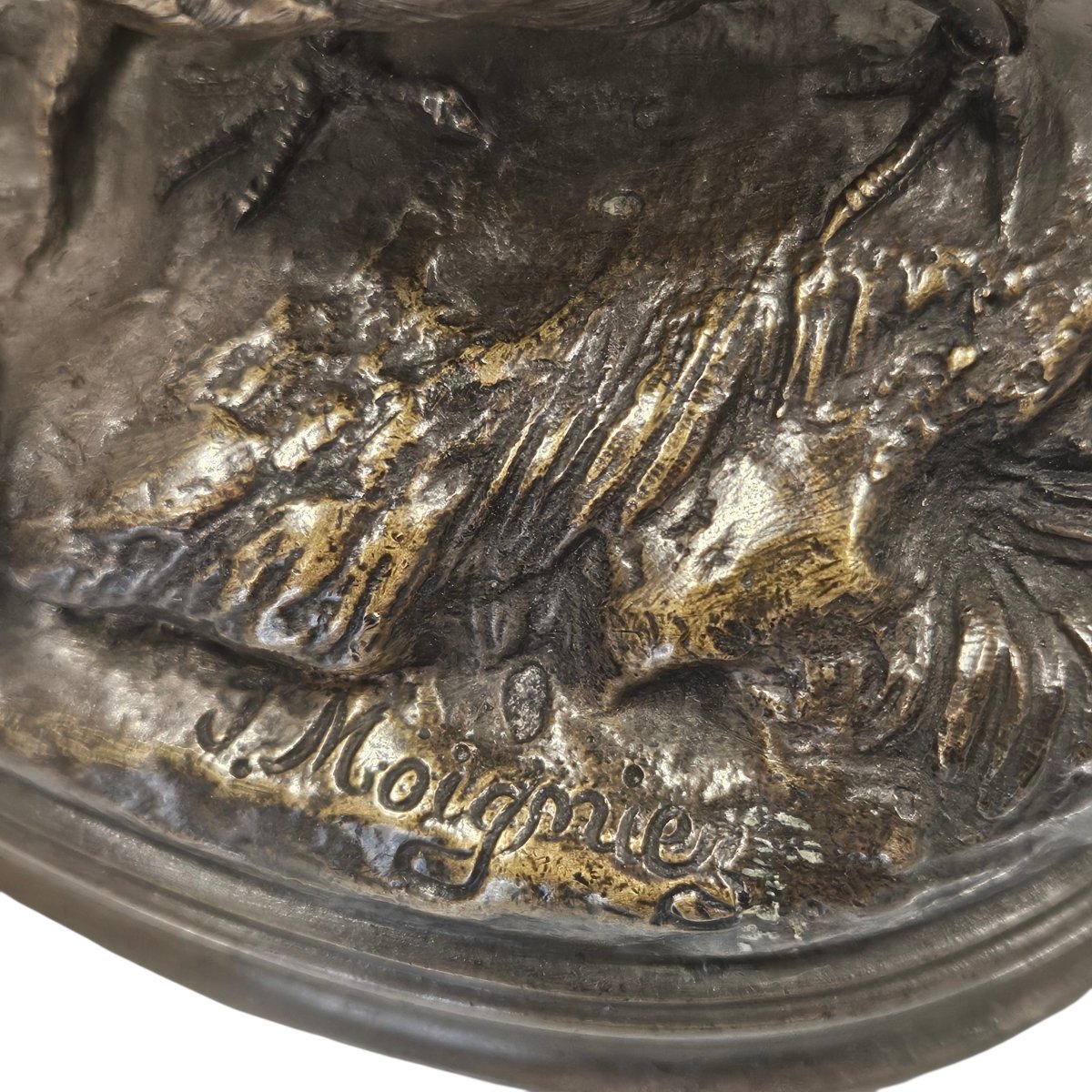 Bronze Animal -photo-7