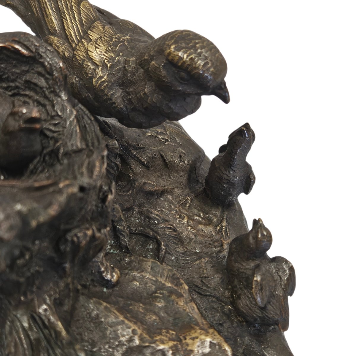 Bronze Animal -photo-8