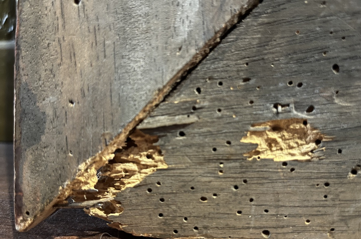 Painting - Oil On Canvas - Still Life - Netherlands - 19th Century-photo-6