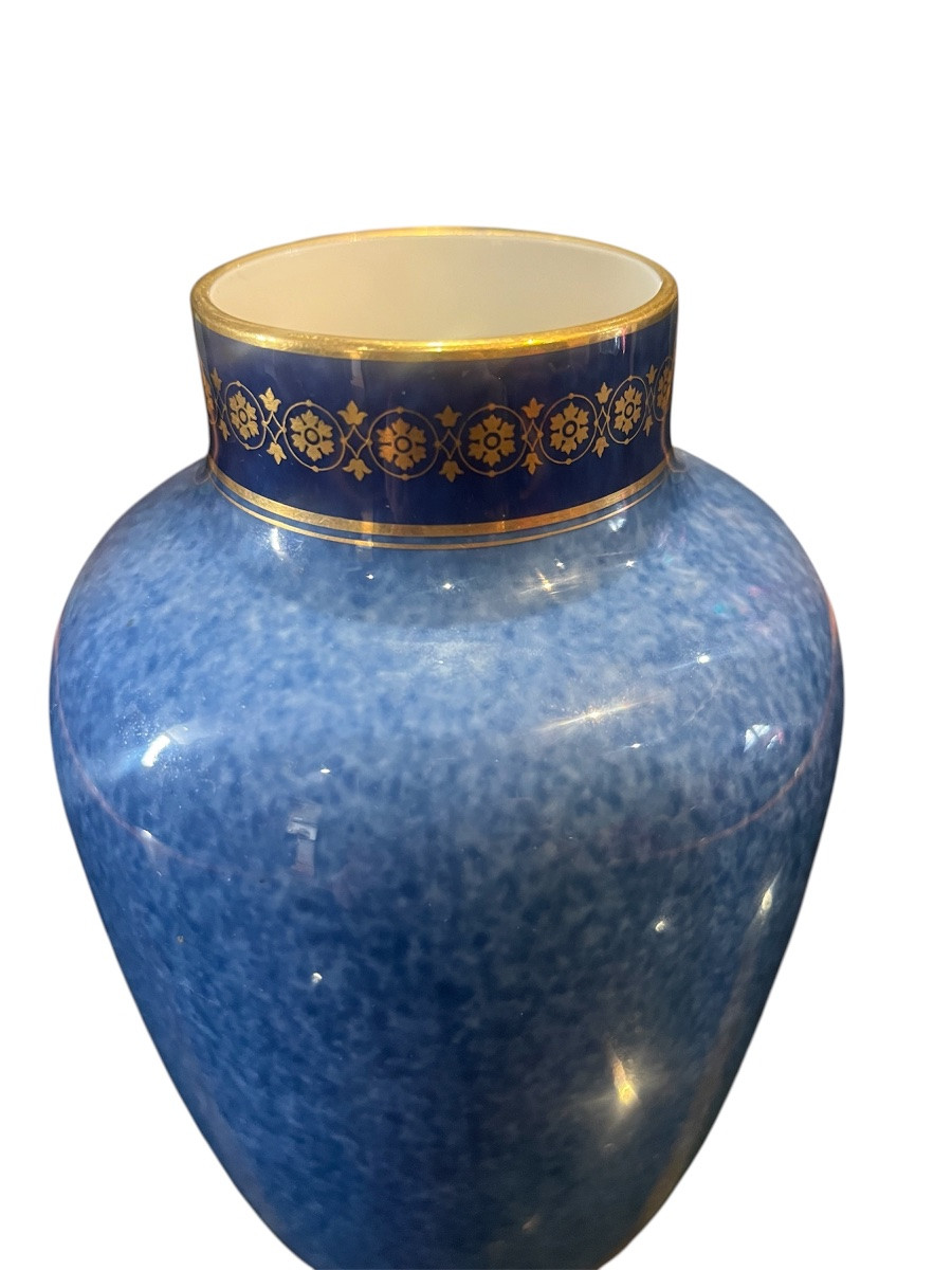 Vase - porcelaine - sevres - france - XIX ème -photo-2