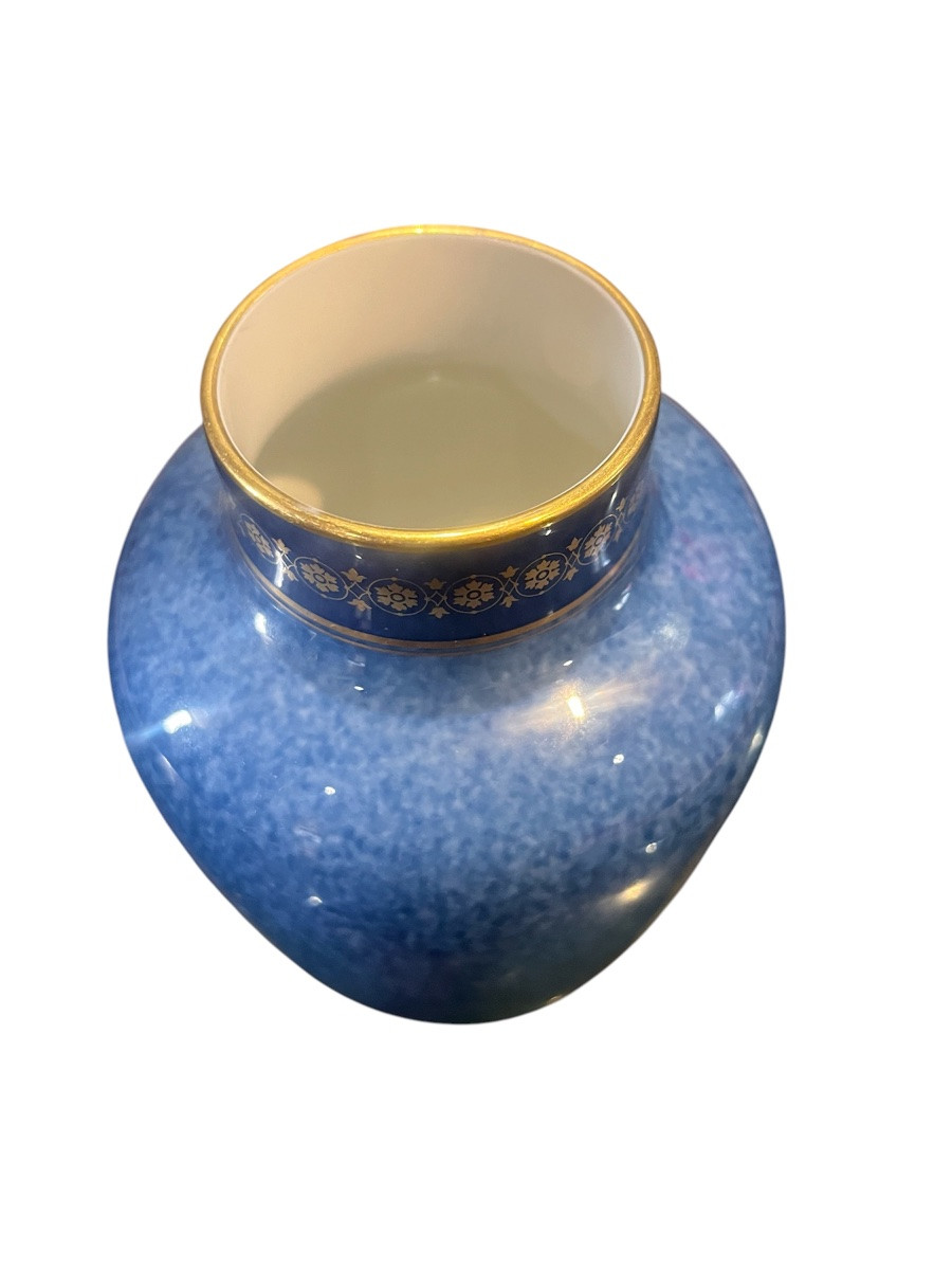 Vase - porcelaine - sevres - france - XIX ème -photo-4
