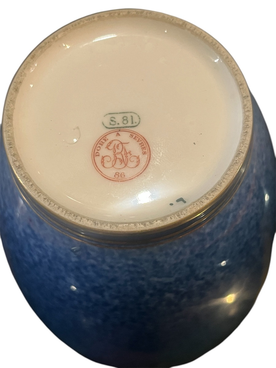 Vase - porcelaine - sevres - france - XIX ème -photo-1
