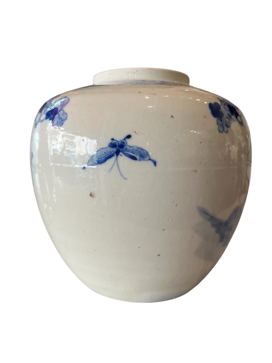 Potiche - porcelaine - blanc/ bleu - chine - XVIII ème -photo-1