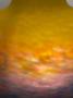 1270455-alb-6a8ff699b534c.jpg