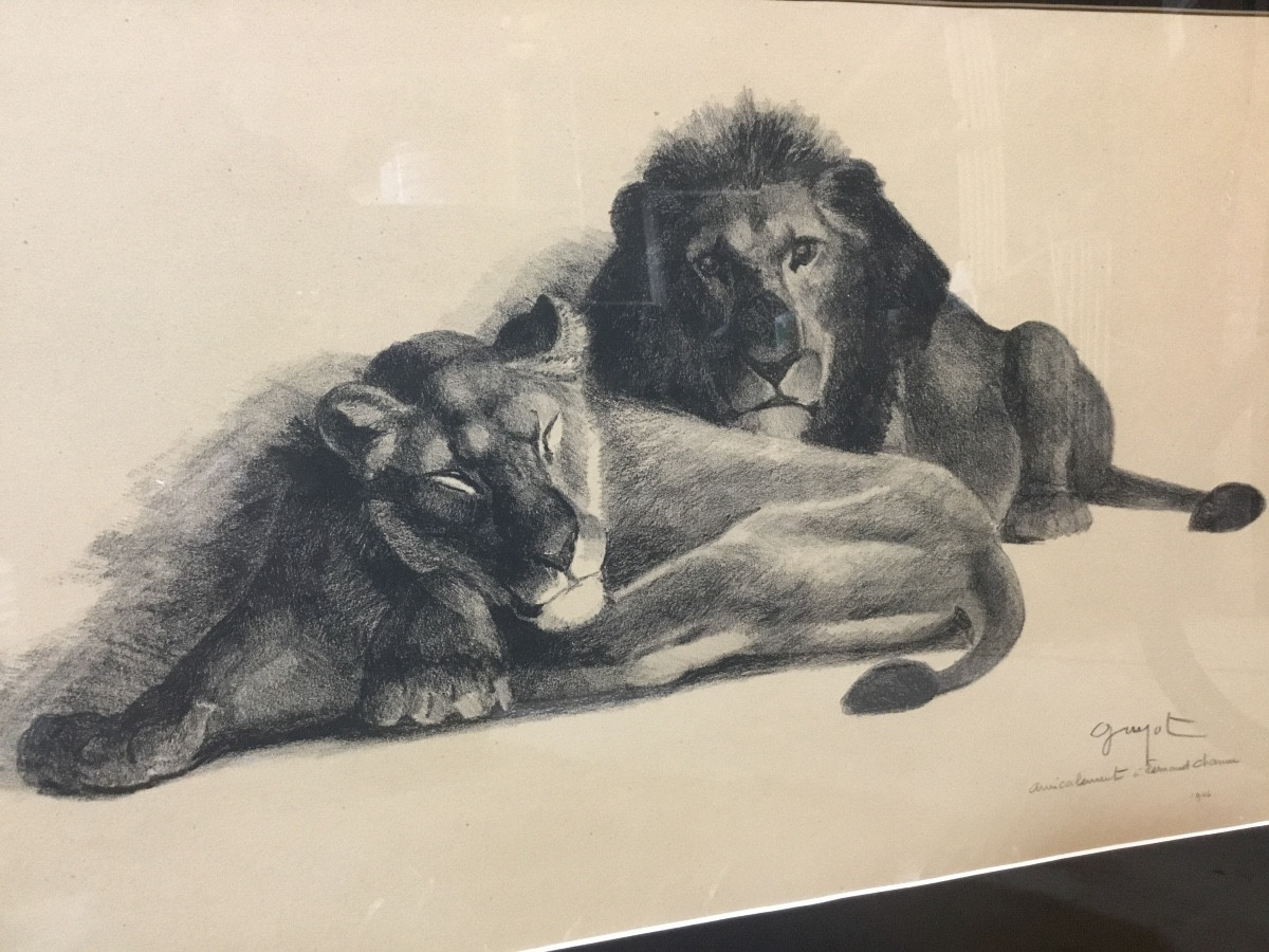 Lithographie G. Guyot-photo-2