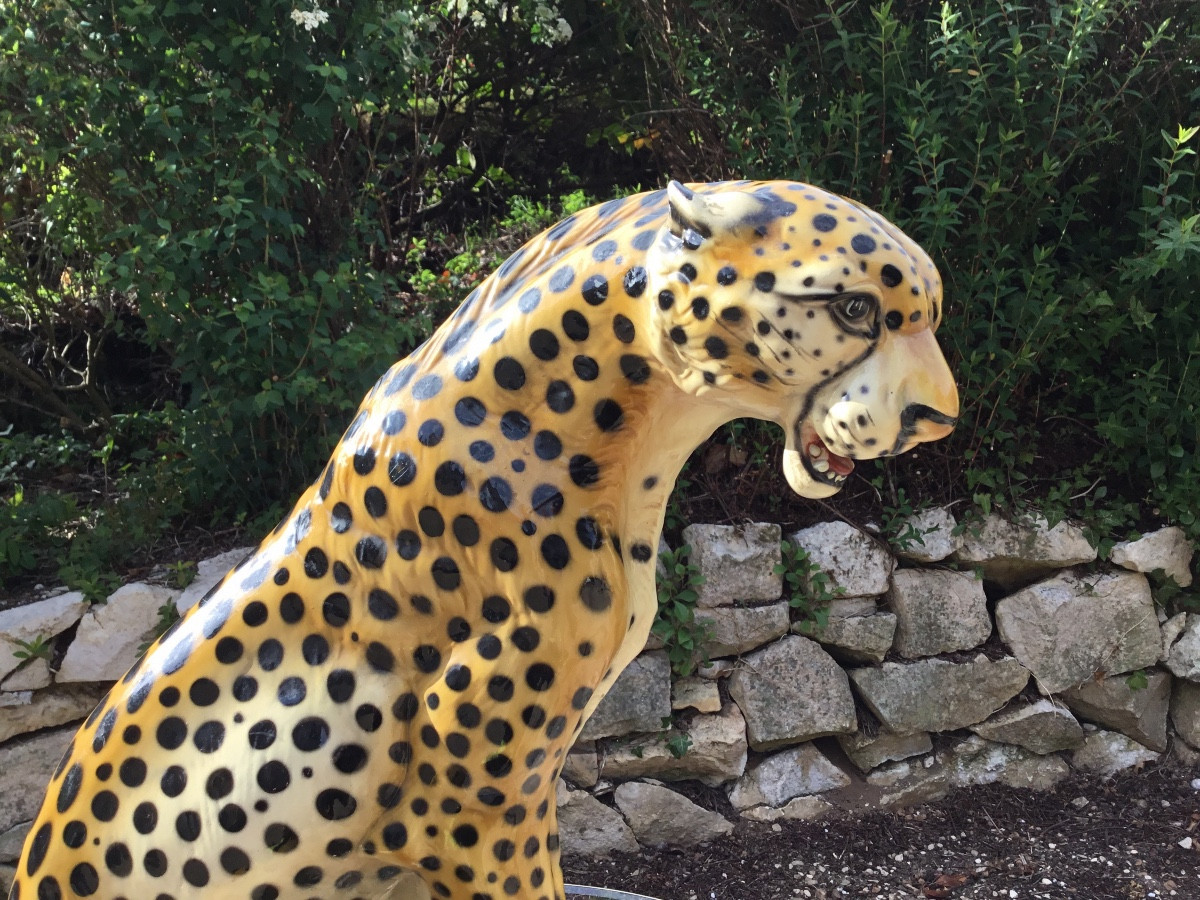 Guépard en céramique -photo-2